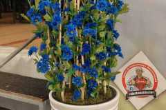 WhatsApp-Image-2023-02-14-at-12.57.12