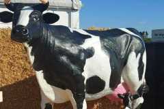 WhatsApp-Image-2023-02-14-at-13.06.05