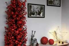 WhatsApp-Image-2023-02-09-at-15.32.56