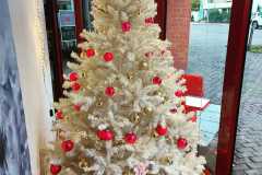 WhatsApp-Image-2023-02-09-at-15.38.56